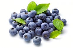 Frozen Fruit / Blueberry